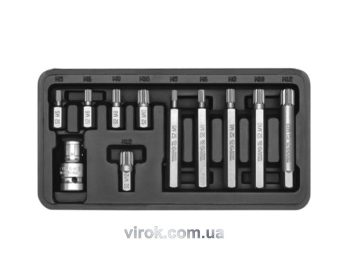 Набор отверточных насадок YATO : "SPLINE", L= 30, 75 мм, адаптер 1/2", металлический кейс. 11 шт [20]